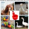 12PCS Chicken Automatic Watering Cups Drinker Waterer for Duck Quail Hen Poultry