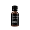 Mystic Moments | Alpha Terpineol (Lindenol) - 10ml