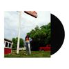 Tigers Blood [VINYL]