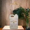 Dominican Magic Coconut Mint Detangler Shampoo