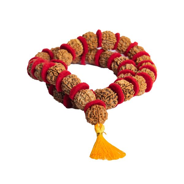 Wonder Care Rudraksha Mala 5face(Panchmukhi) Authentic Genuine Rudraksha Beads Ornament Rosary Japa Mala Beads kantha mala |Big rudraksha Meditation Beads