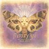 The Secret Migration: Deluxe Edition (5CD)