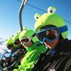 Coolcasc Frog Animals