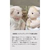 《Your Name Included》【Petilu】 Wedding Bear, Tiny Wedding Party