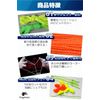 fogman 100pcs Yo Yo String Yo Yo String for Competition High Strength Professional Grade (Green)