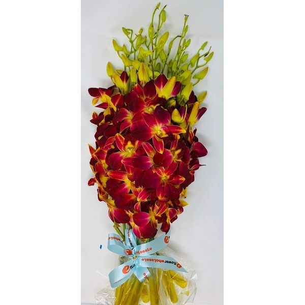 Orchid - Fresh Cut Flowers - Ten Stems of Dendrobium Sonia Tinted Yellow (Free Vase)