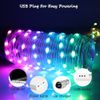 LED String Copper Wire RGB Fairy Lights Remote Smart App USB Control Xmas Decor
