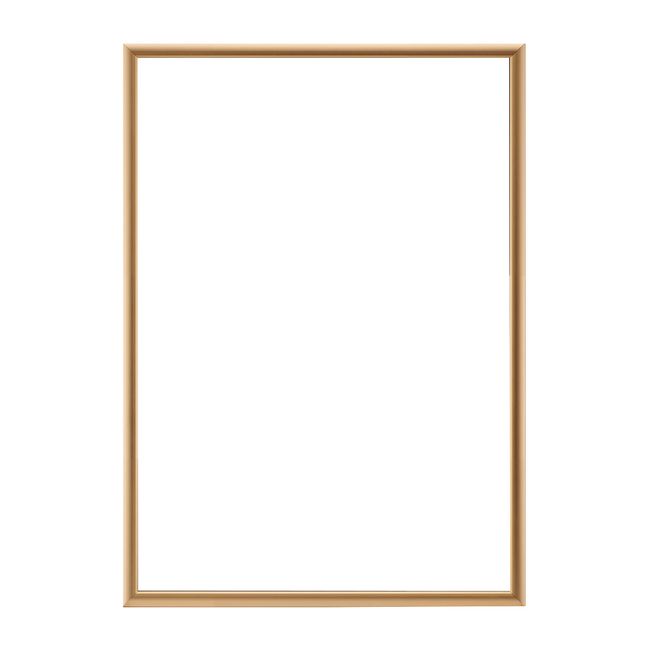 Giant Aluminum Panel Poster Frame 5016 B3 Gold