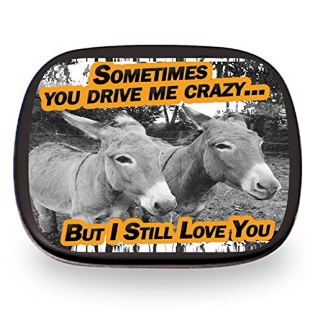 You Drive Me Crazy But I Still Love You Mints - Funny Valentine’s Day Gifts for Friends, Stocking Stuffers for Adults Teens Kids, Wintergreen Mints
