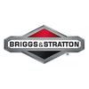Briggs & Stratton- COPPER WASHER 820049