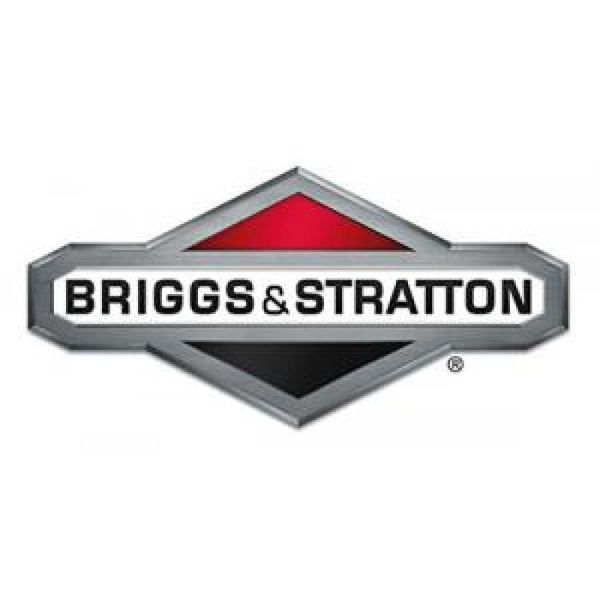 Briggs & Stratton- COPPER WASHER 820049