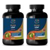 brain memory focus - OLIVE LEAF EXTRACT 500MG 2B - brain booster for men