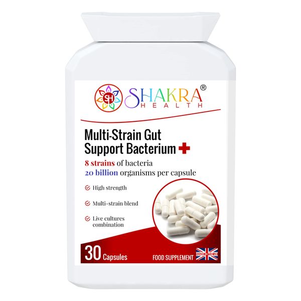 Multi-Strain Gut Support Bacterium+ / 30 Capsules. Practitioner-Strength Vegan probiotic Supplement