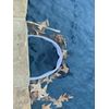 Pool Skimmer Shield Protective Spring Action Net System Leaf Protection 