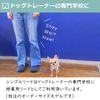 skipdog. Simple Long Lead 2 m (Chihuahua Small Dog Thin Lead)
