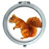 Red Squirrel Compact Mirror