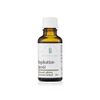 Rosehip Seed Oil 30ml