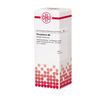 DHU Phosphorus D6 Dilution, 20 ml Lösung