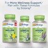 SOLARAY 100ct Mullein Leaf 330 mg - Soothing Herbal Support - Traditionally Used to Support Health and Wellness - Vegan, Non-GMO, Lab Verified, 60-Day Money-Back Guarantee, 100 Servings, 100 VegCaps