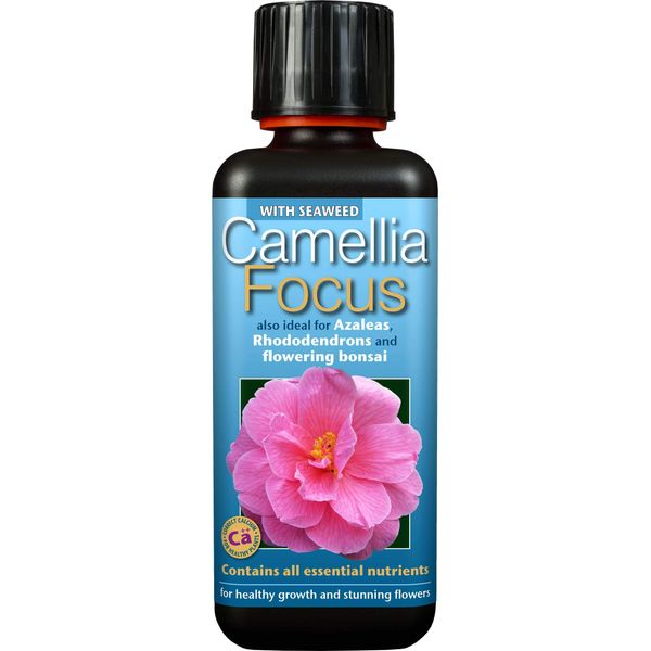 Camellia Focus Liquid Concentrated Fertiliser 300 ml