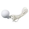DAIYA GOLF TR-434 Golf Trainer with String Spare Ball