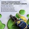  60ml Mullein Drops for Lungs, Detox and Cleanse Mullein Extract Supplement US