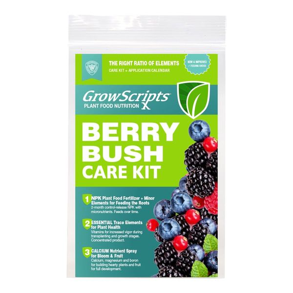Container Berry & BRAMBLE Fertilizer & Nutrition Care KIT