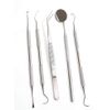 Professional Dental Hygiene Kit, Calculus Plaque Remover Set, Stainless Steel Tools, Tarter Scraper, Tooth Pick, Dental Scaler and Mouth Mirror Instruments. Hygienist Kit, Home Use Tools for Adults