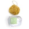12CM Sea Sponge Unbleached Honeycomb Natural Seasponge for Bath Use, for Baby, or Art use (S Size 10-12 cm)