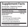 Memory Supplements - Ginkgo Biloba Extract 120mg - Mental Alertness- Brain  2B