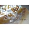 iketyou Pond Butterfly Oyster Shell Cleansing Set [Rose Quartz Chips]