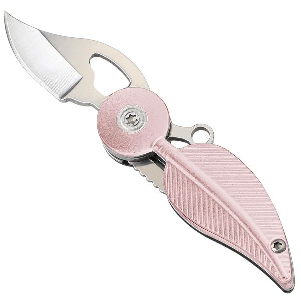 Coowolf Pocket Knife Womens with Chain, Small Pocket Knife, Stainless Steel and Aluminum Alloy Handle, EDC Small Knife, Practical Key Accessories Creative Gift for Women