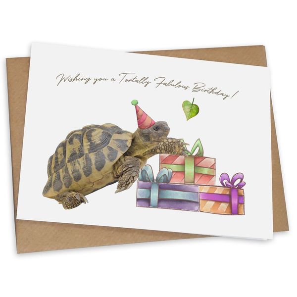 Fun Birthday Card for Tortoise Lovers Luxury Greetings Cards Pets Torties