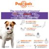 GiGwi Dog Toy Pop Pal S