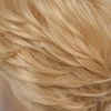Dai Cloud Mens Blonde Wigs Short Curly Layered Cosplay Costume Party Wigs for Male Guy(Blonde)