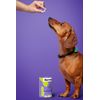 FÜRREE Joint Support Collagen Complex Plus for Dogs - 100 g