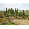 Noch 32825 3.5-9 cm Model Spruce Trees (25-Piece)