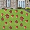 Its Your Birthday Go Nuts Yard Decorations 20 piece set