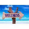 antioxidant blend supplements - CHOLESTEROL RELIEF - garlic extreme - 60 Capsule