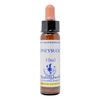 Healing Herbs/Flower Essence [Honeysuckle]