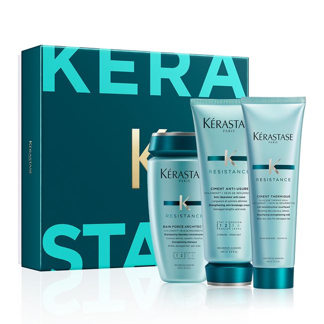 [Gift set for damaged hair] Resistance gift set