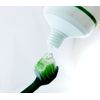 [Bulk Purchase] Shikon Coat, No Abrasives, Gentle on Teeth, Medicated Toothpaste, Mint Scent, Prevents Caries, 4.1 oz (110 g) x 2 [Quasi-Drug]