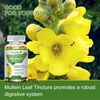 120 Mullein Leaf Capsules for Lung Cleansing&Deto