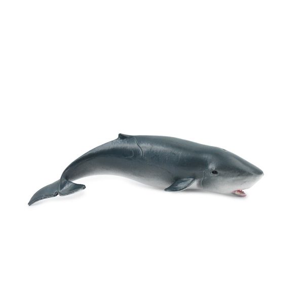 Sperm Whale Baby Realistic Toy Figure, Model, Educational, Gift, 5" CH322 BB132