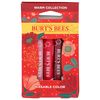 Burts Bees Warm Kissable Color Gift Set, 1 EA