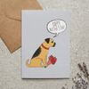 Border Terrier Mother's Day Card