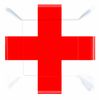 amscan 25.4 cm Square St Georges Day Plate