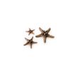 BiOrb 46137.0 Starfish Set 3 Natural Aquariums
