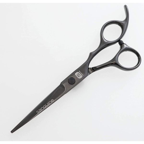 Professional Hairdressing Scissors, 5.5 inch, 14 cm, Perfect Size for All Users - Black