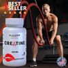 CREATINE Monohydrate - Muscle Growth - Strength, Performance & Recovery - 60 Cap